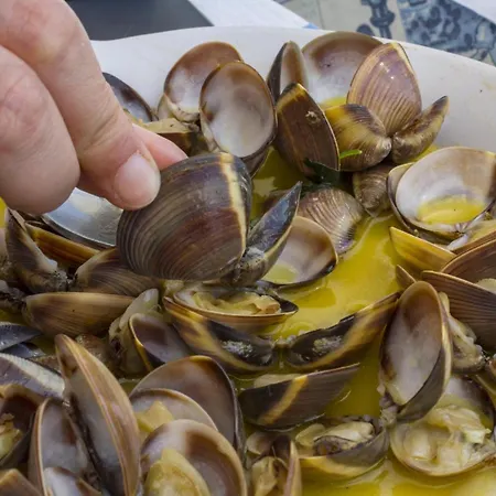 Apartment B25 - Candimar